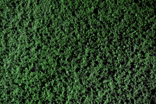 Textured Green Background