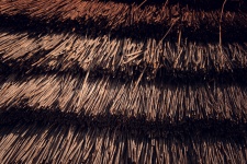 Thatched Roof Background