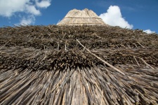 Thatched Roof Detail
