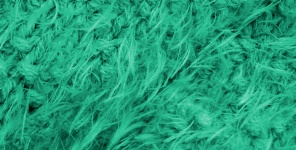 Turquoise Fluffy Wool Background