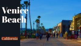 Venice Beach Travel Poster