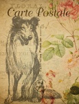 Vintage French Floral Postcard