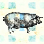 Vintage Pig Drawing