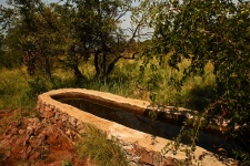 Water Trough For Game On A Reserve