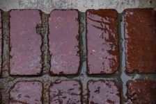 Wet Brick Step Background