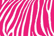Zebra Skin Stripes Pattern