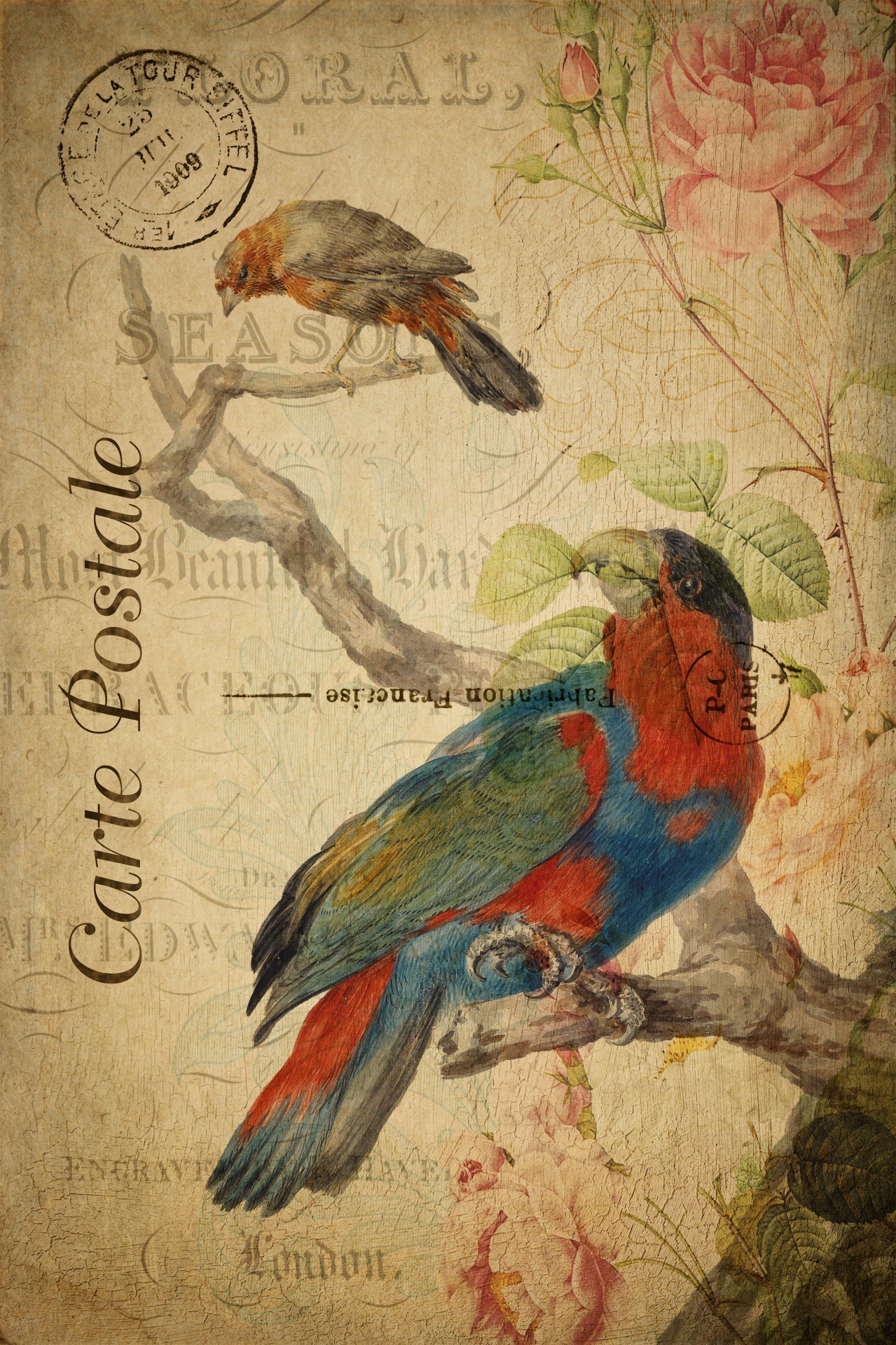 Vintage painting of parrot and crow on old french floral postcard