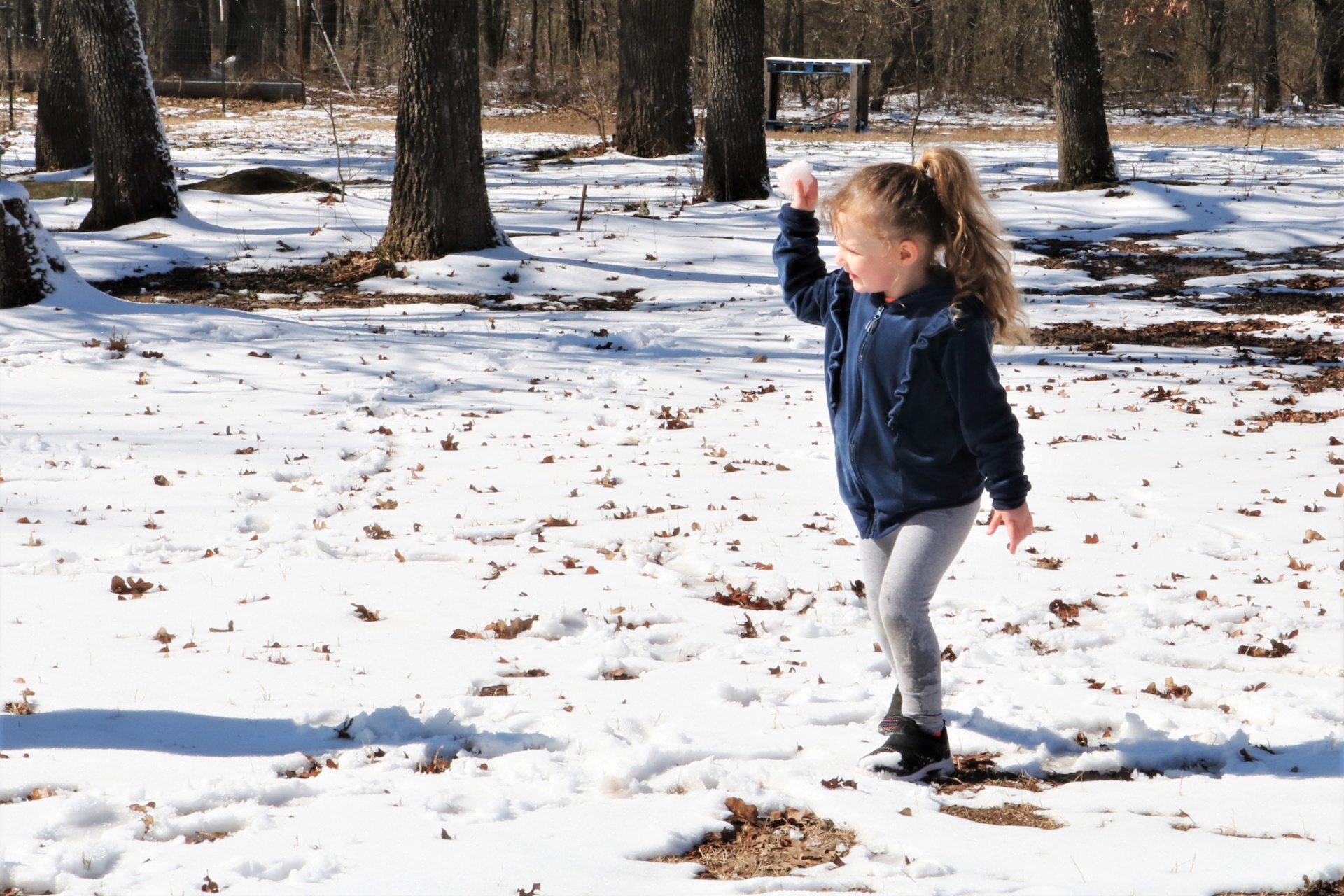 Little Girl Holding A Snowball
