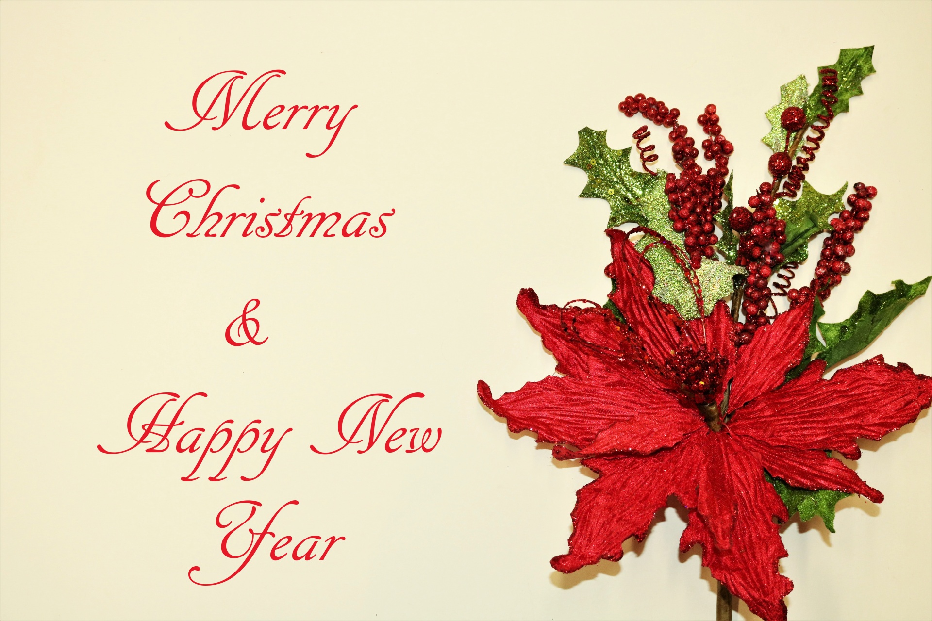 Close-up of a red poinsettia flower with green holly leaves and red berries, on a white background, with the text Merry Christmas and Happy New Year.