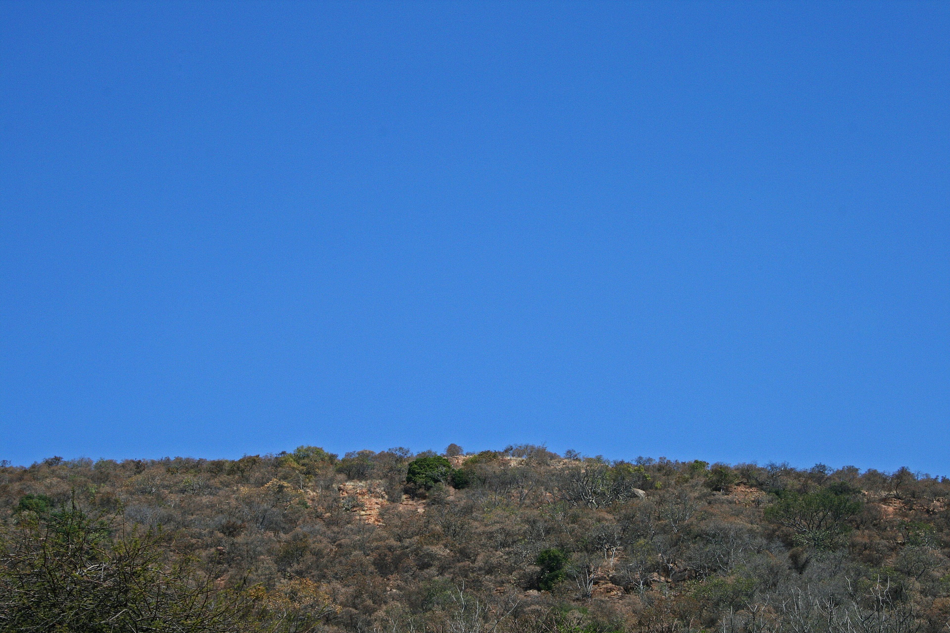 top ridge of hill covered with vegetation against blue sky