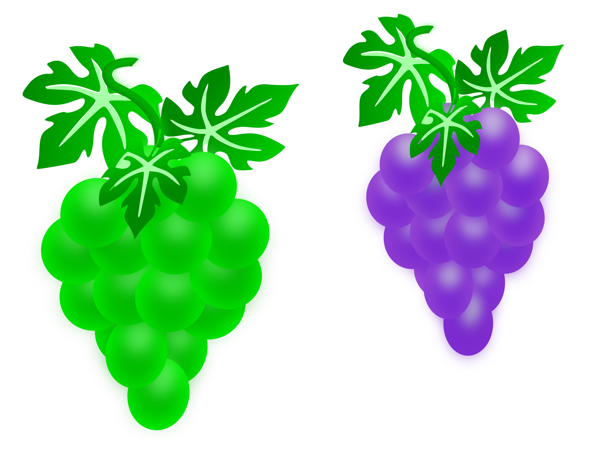 Tasty fruit grape at meals