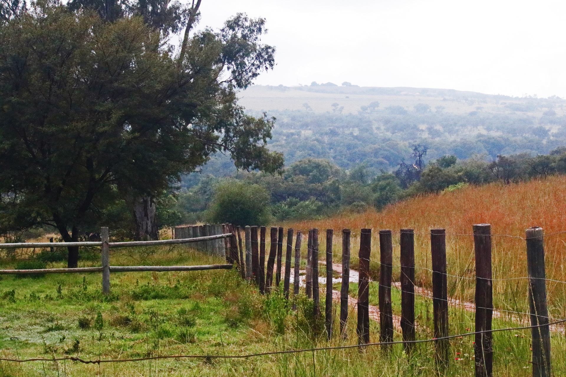 View Of Fences In A Farm Scene