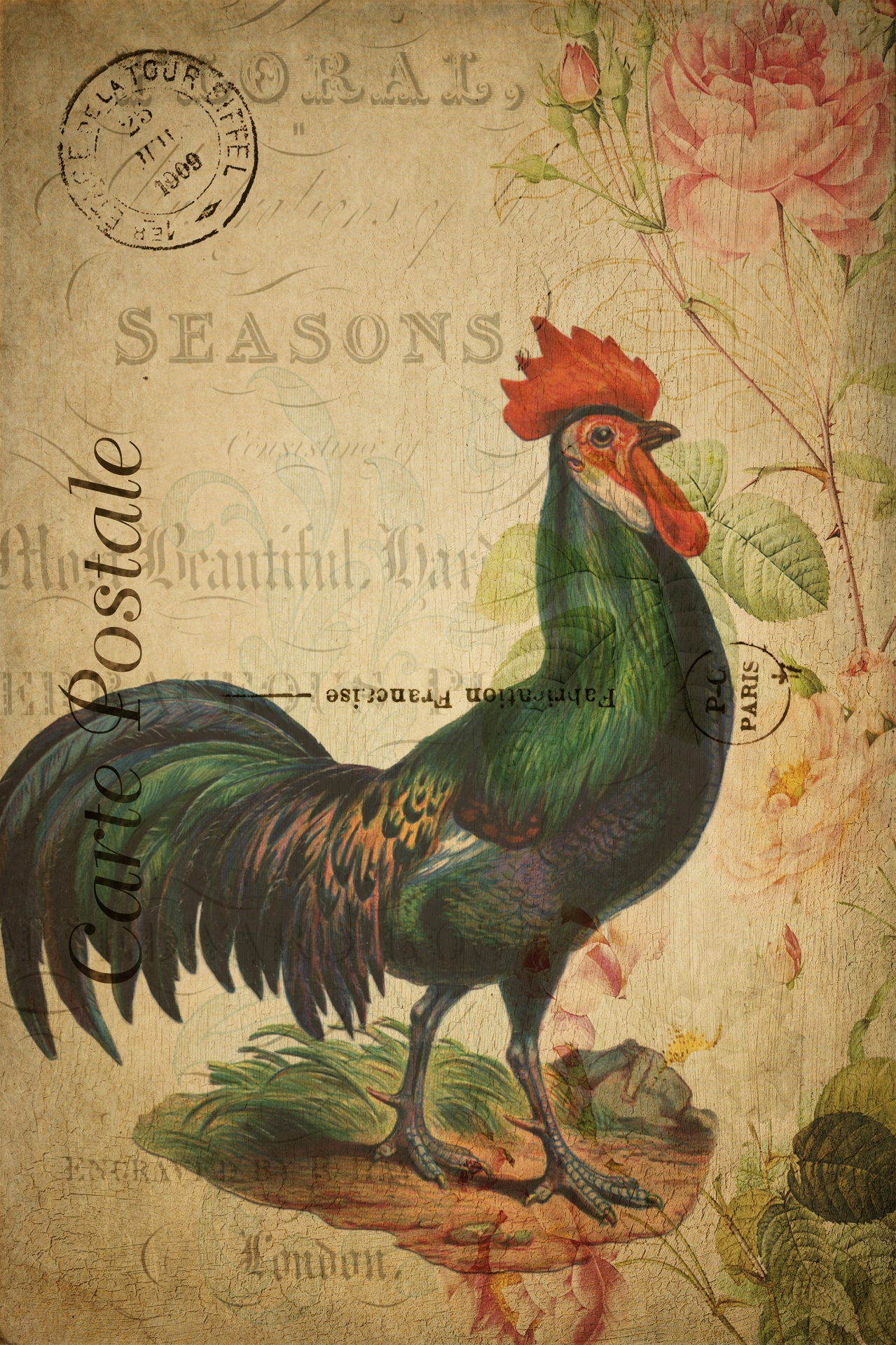 Vintage French Rooster Postcard