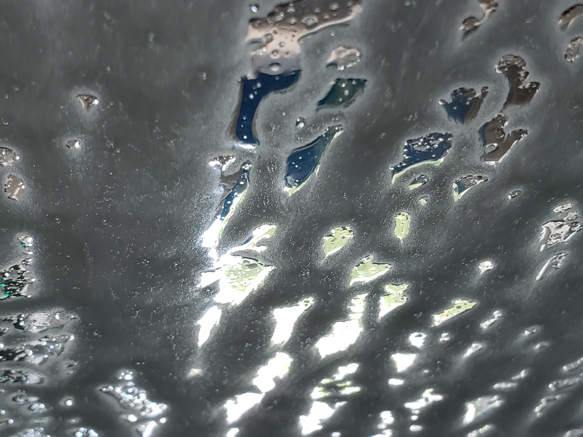 Washing A Car Inside View