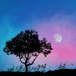 Tree Moon Silhouette Landscape