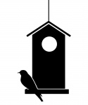 Bird And Nest Box