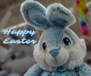 Blue Plush Easter Bunny Greeting