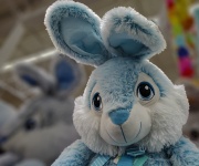 Blue Plush Easter Bunny