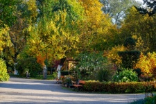 Botanical Garden In Bydgoszcz