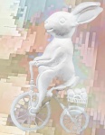 Bunny On A Bike