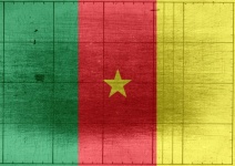 Cameroon Flag Themes Idea Design
