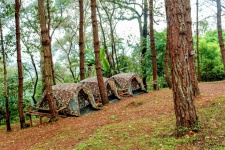 Camping Point At Thailand