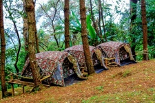 Camping Point At Thailand