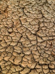 Crack Soil Dry