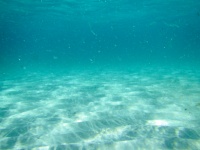 Dirty Sea Water