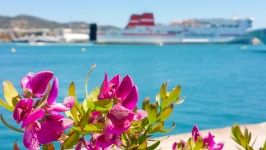 Flowers And Ship
