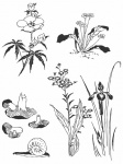 Flowers, Plants Sketch