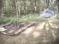 Forest Campsite
