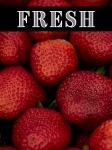 Fresh Fruit Poster