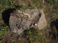 Grey Rock With Fissures And Pattern