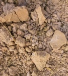 Ground Textured Surface Stone Soil