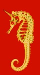 Seahorse 1