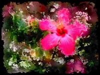 Watercolor Hibiscus Flower