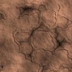 Dried River Bed