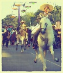 Charros Riding Horses