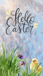 Hello Easter Illustration