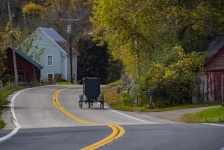 Amish Buggy On Road
