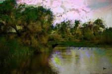 Lake Oil Painting