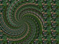 Green Spiral Abstract Background