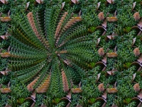 Green Spiral Abstract Background 3