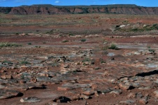 Arizona Red Dirt Landscape
