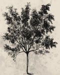 Vintage Tree
