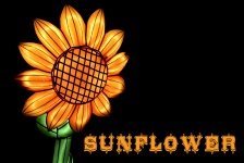 Lighted Flower Sunflower