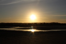 Oceanside Marsh At Sunset