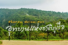 Phurua National Park, Loei Thailand