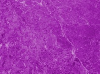 Purple Marble Background